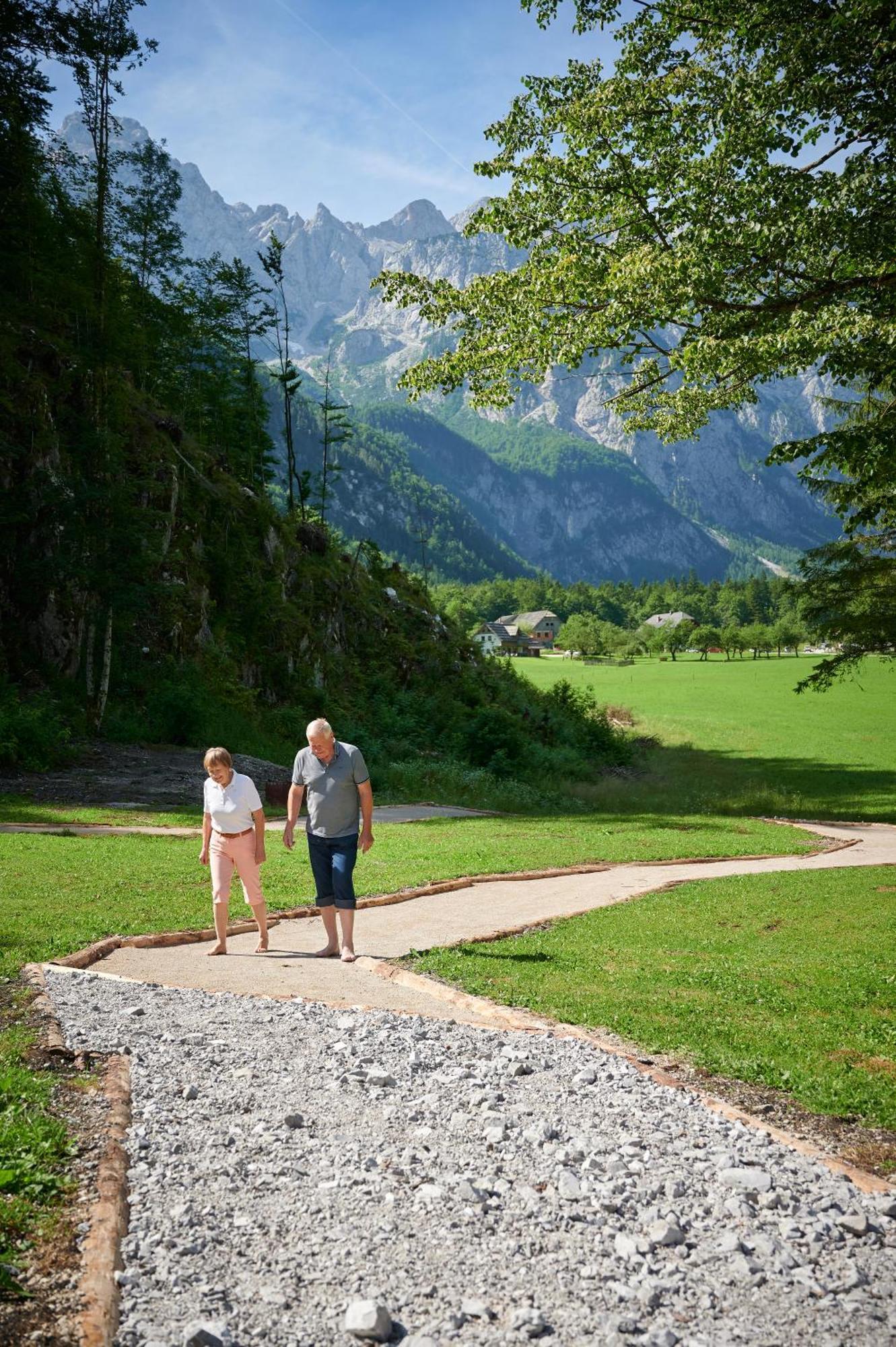 Hotel Plesnik Logarska Dolina Solčava Exterior foto